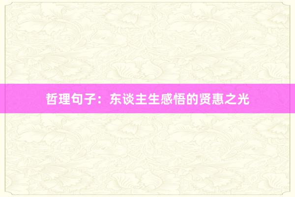 哲理句子：东谈主生感悟的贤惠之光